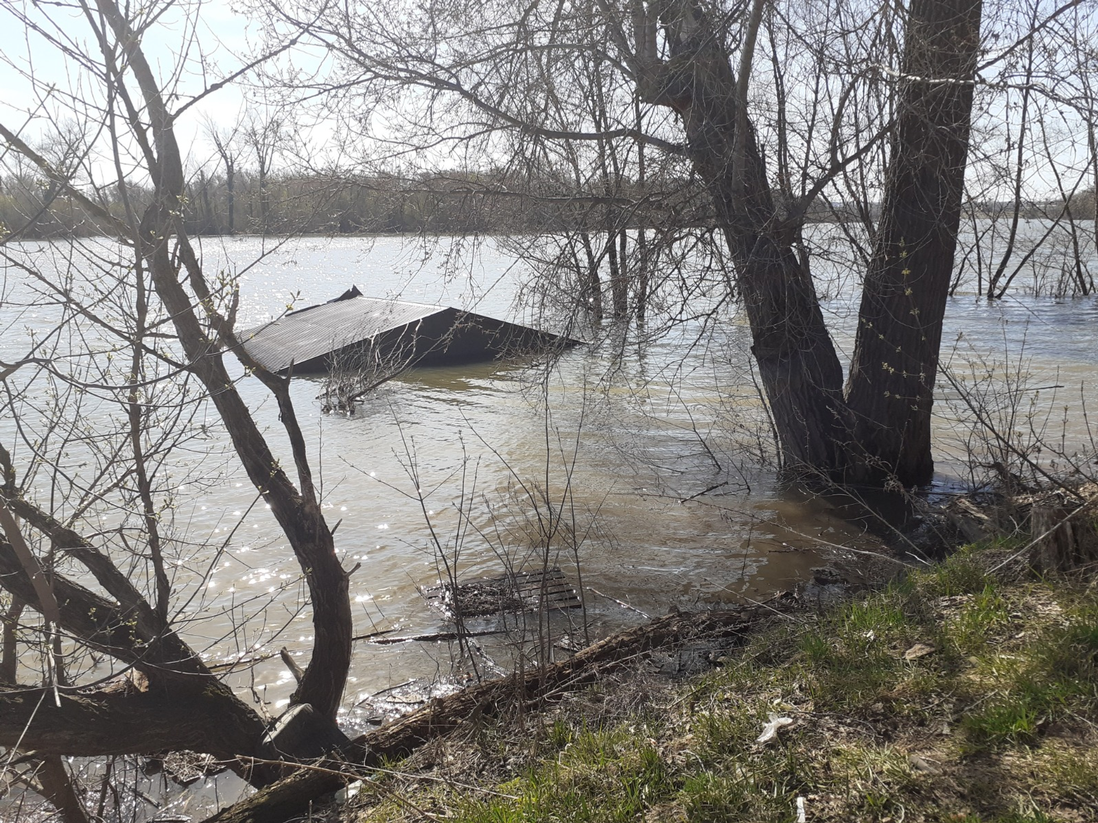 Владимира Шакиева. «Общественная электронная газета».