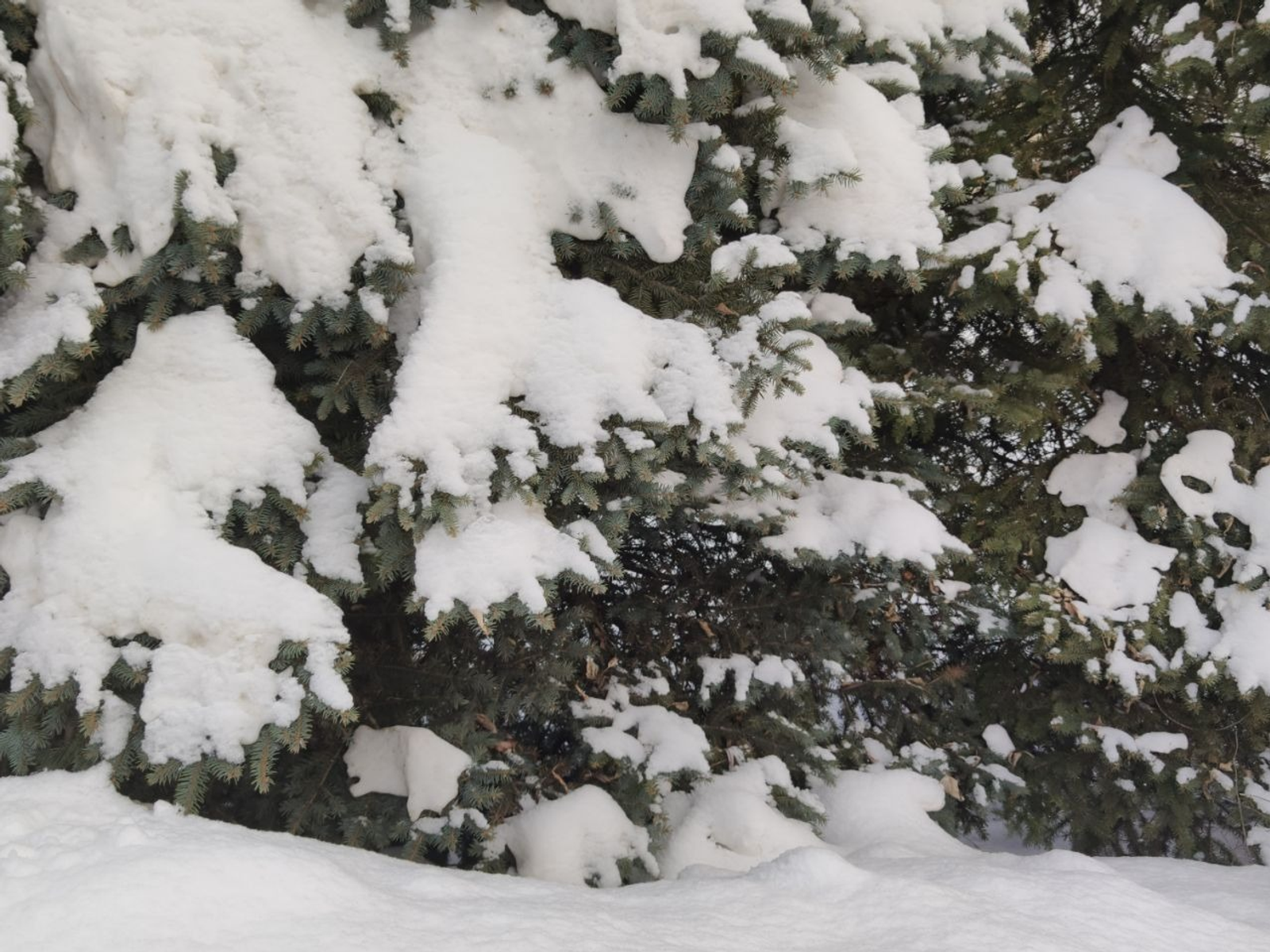 Дарьи Святохиной. «Общественная электронная газета».
