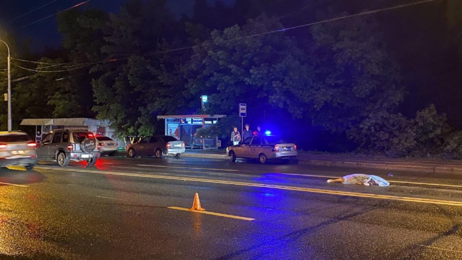 Елены Колоколовой.