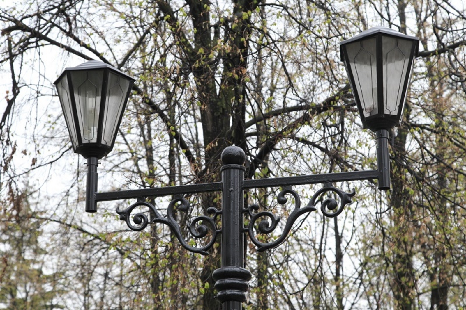 Фото Олега Яровикова.