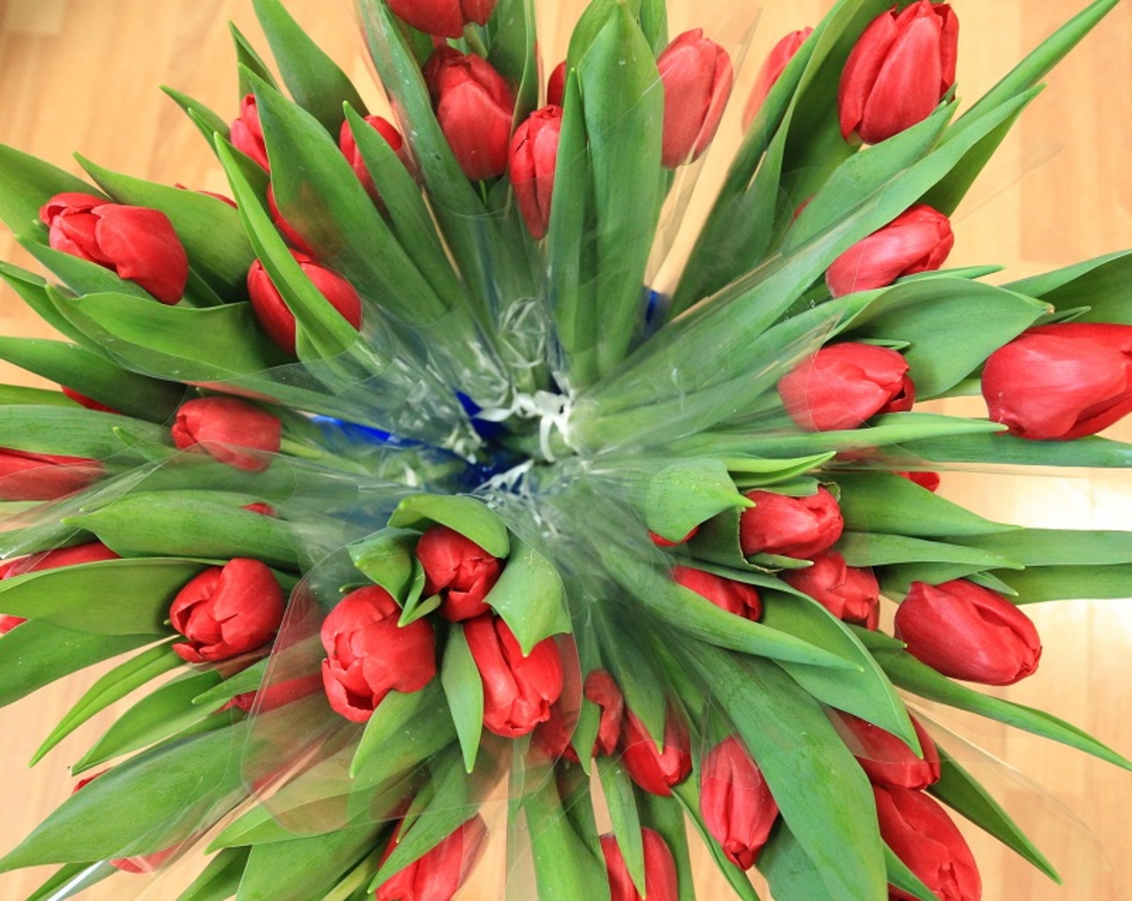 Фото Олега Яровикова.