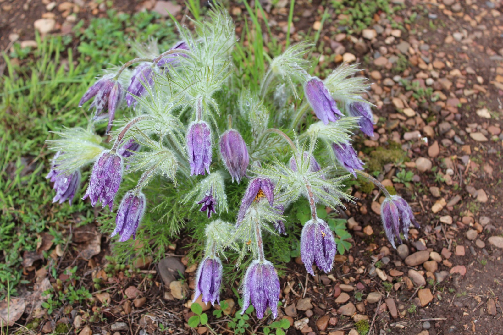 Дарьи Святохиной.