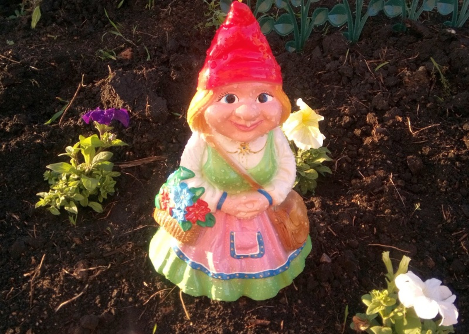 Фото Васили Саитовой.