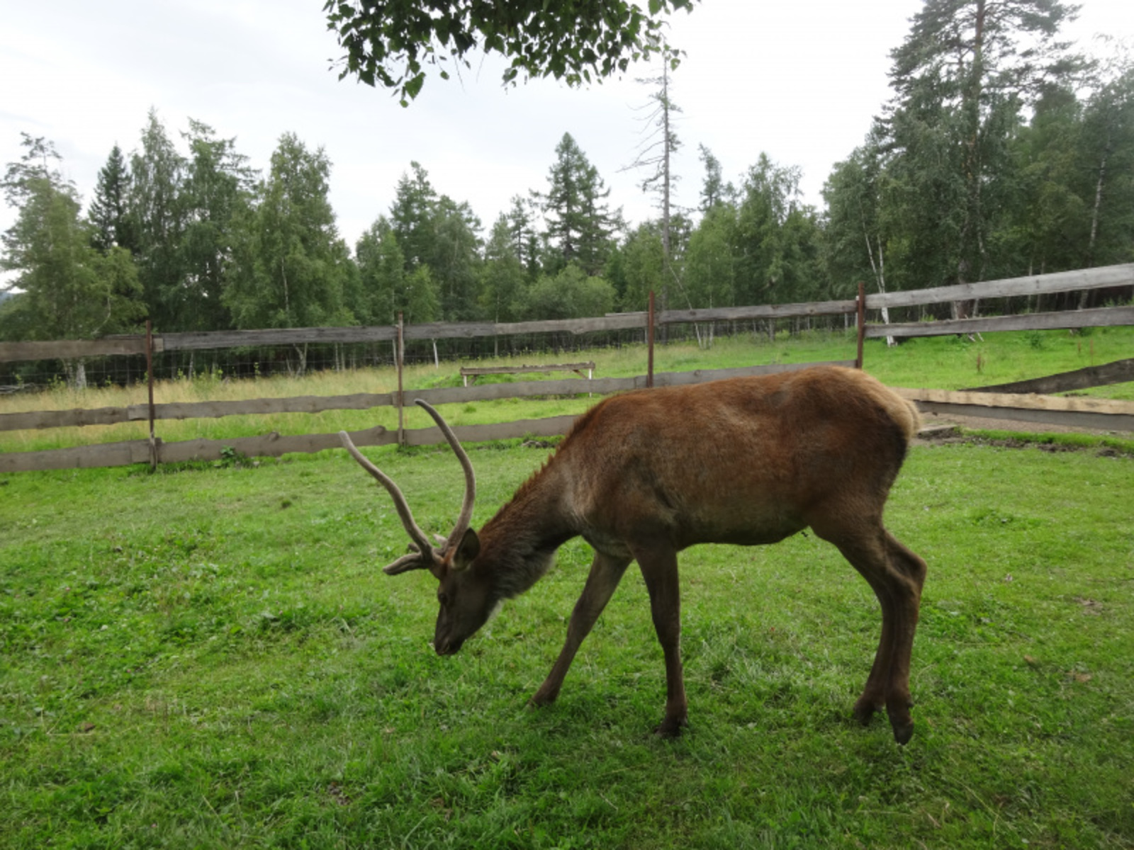 Фото автора.