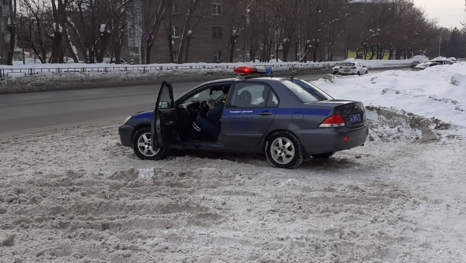 Елены Колоколовой.