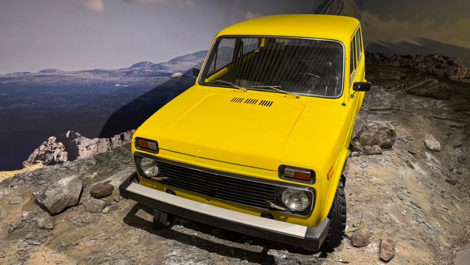 Елены Колоколовой.