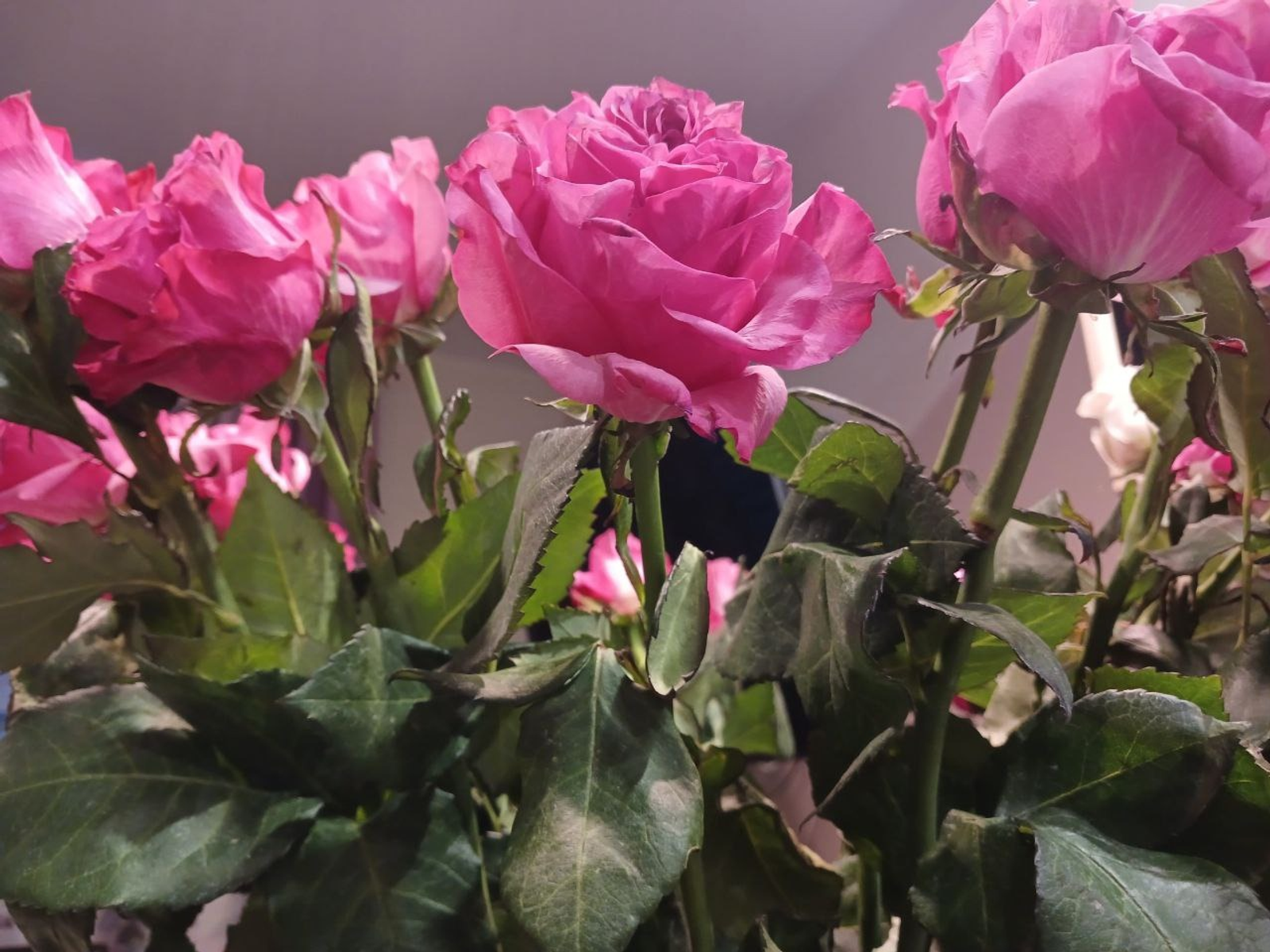 Васили Саитовой. «Общественная электронная газета».