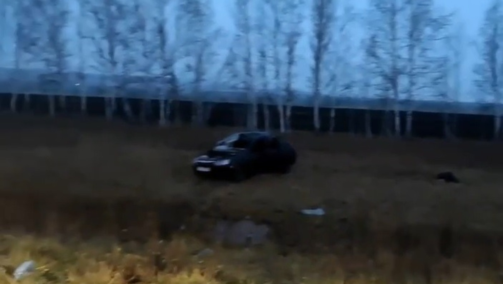 скриншот видео.