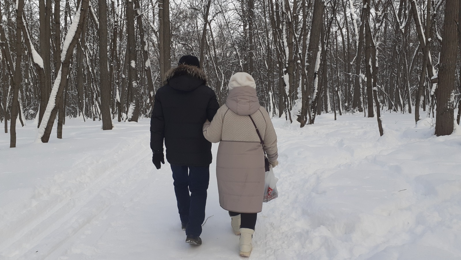 Владимира Шакиева.  «Общественная электронная газета».