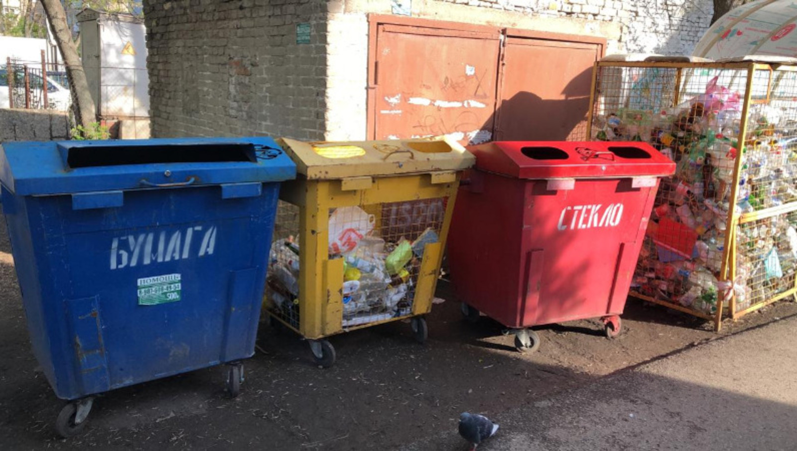 Елены Колоколовой.