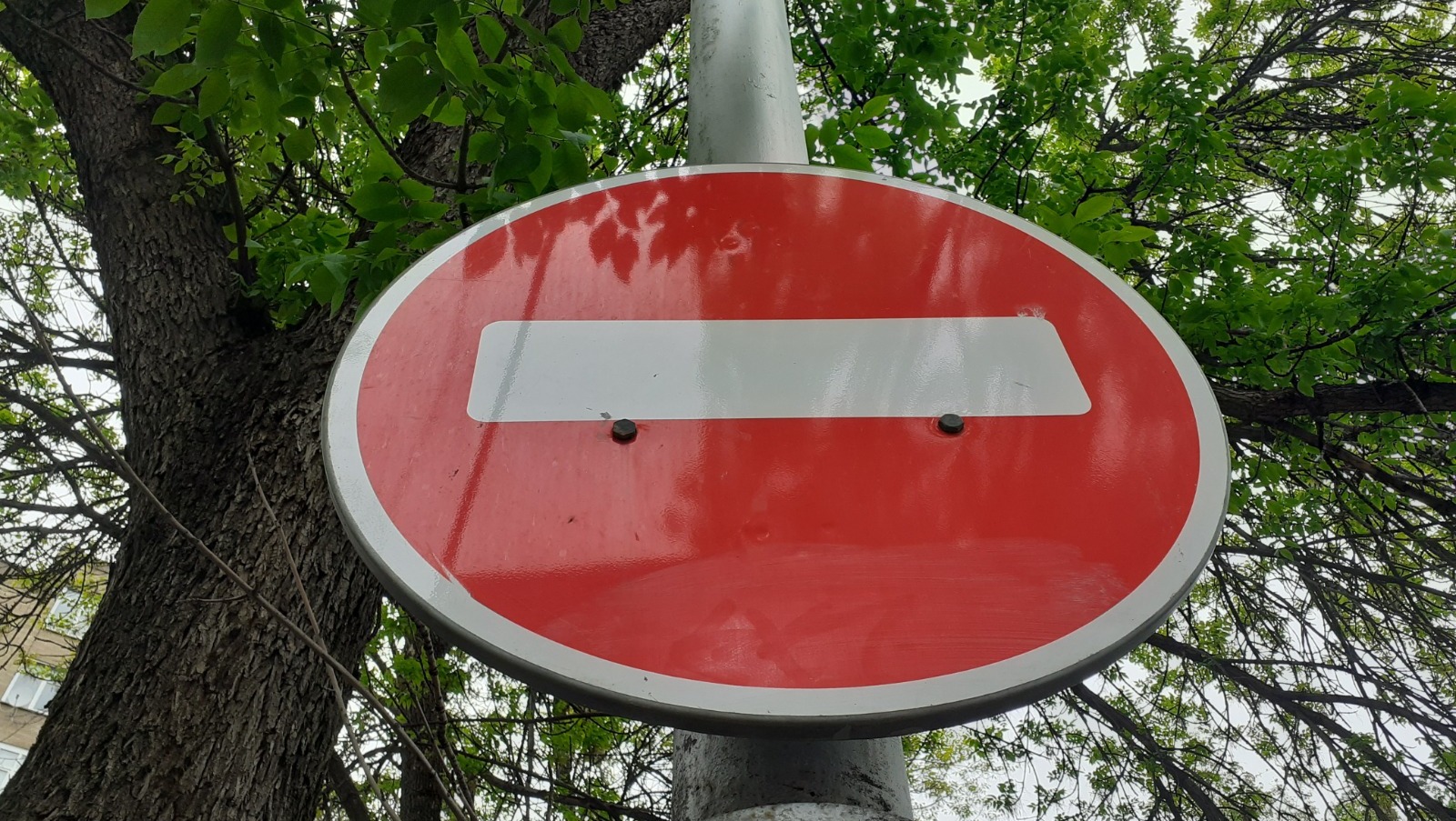 Владимира Шакиева.