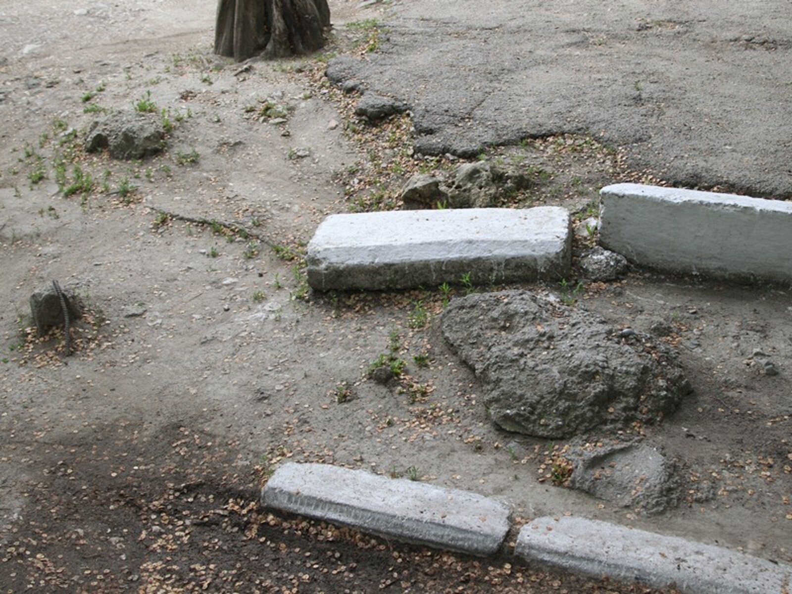 Фото Олега Яровикова.