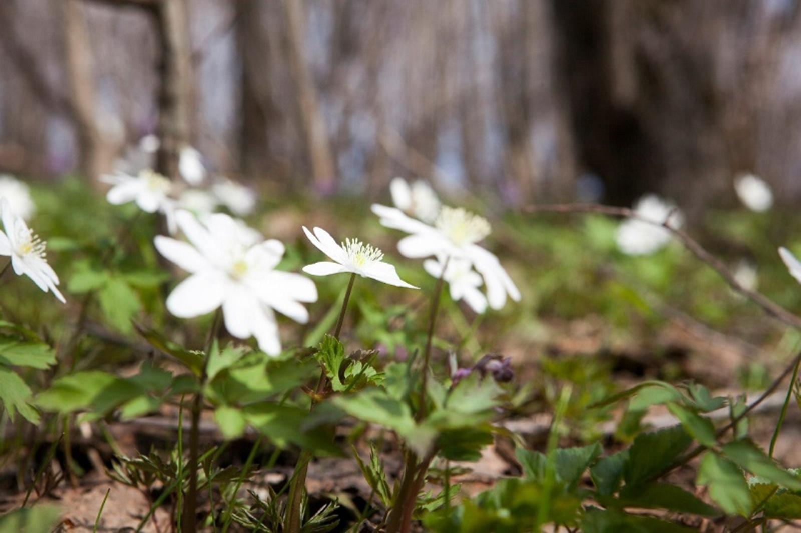 Фото Фаиля Абсатарова.