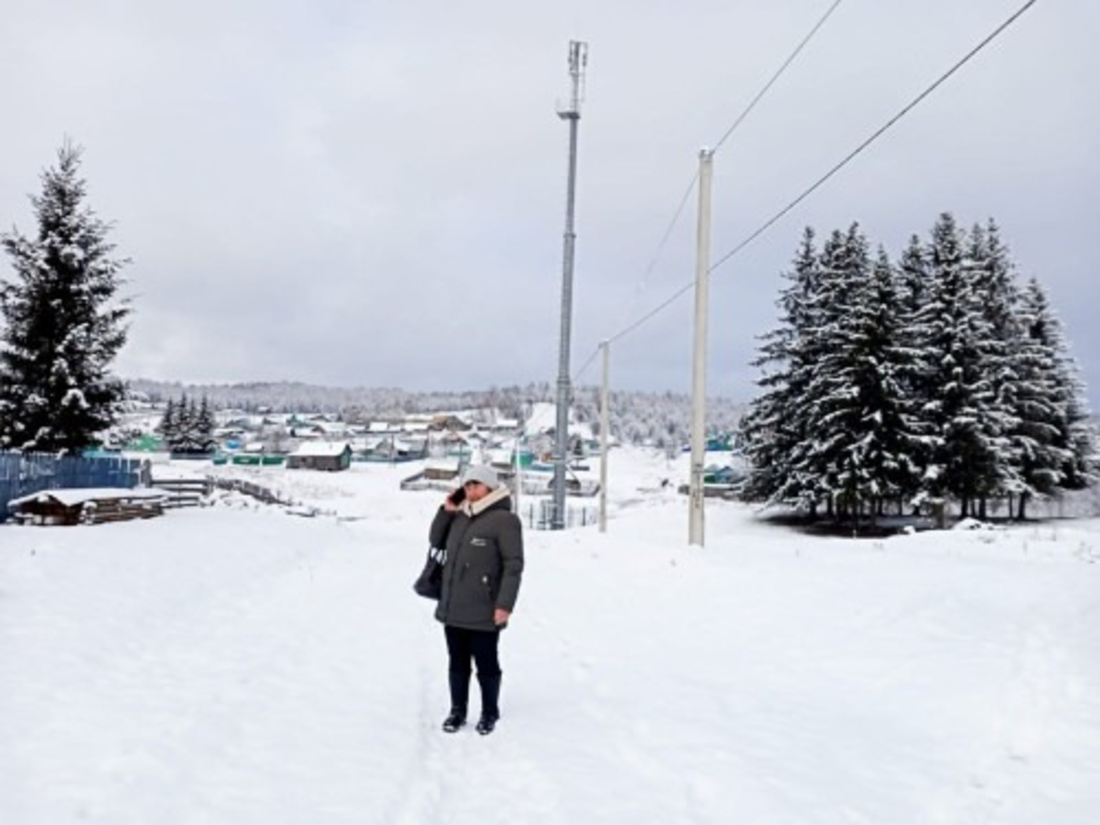 c сайта https://pravitelstvorb.ru.