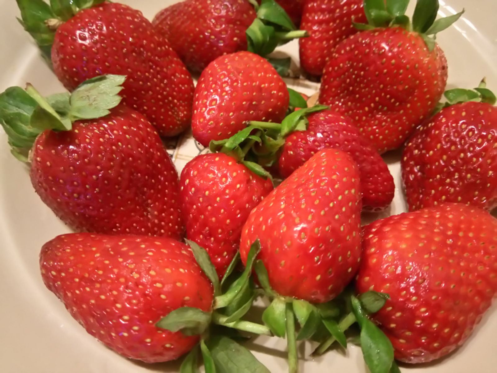 Фото Васили Саитовой.