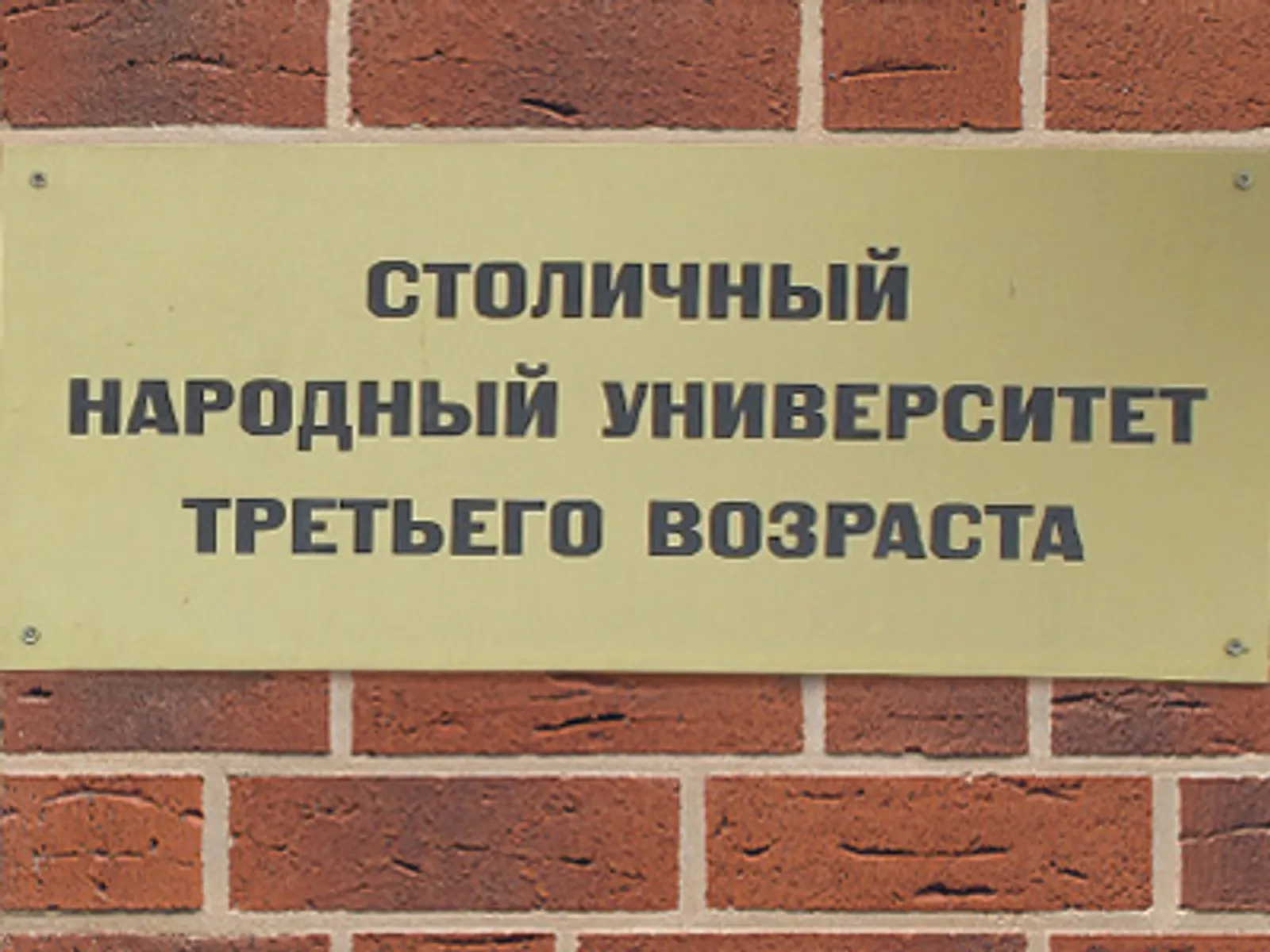 Фото автора.