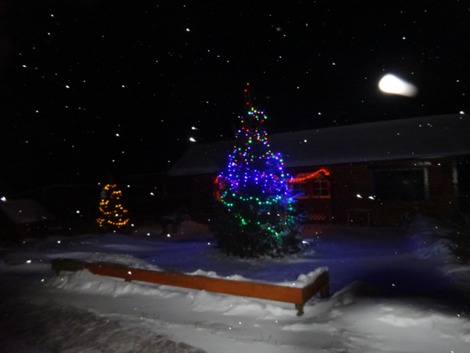 Фото автора.