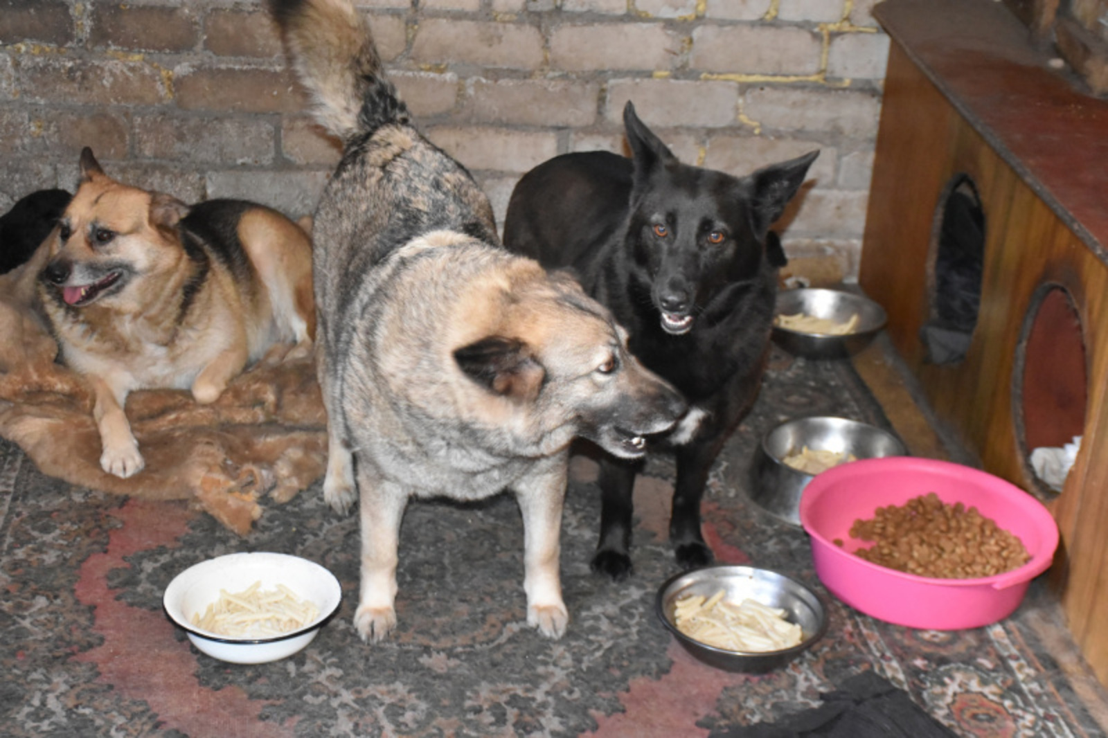 Фото автора.