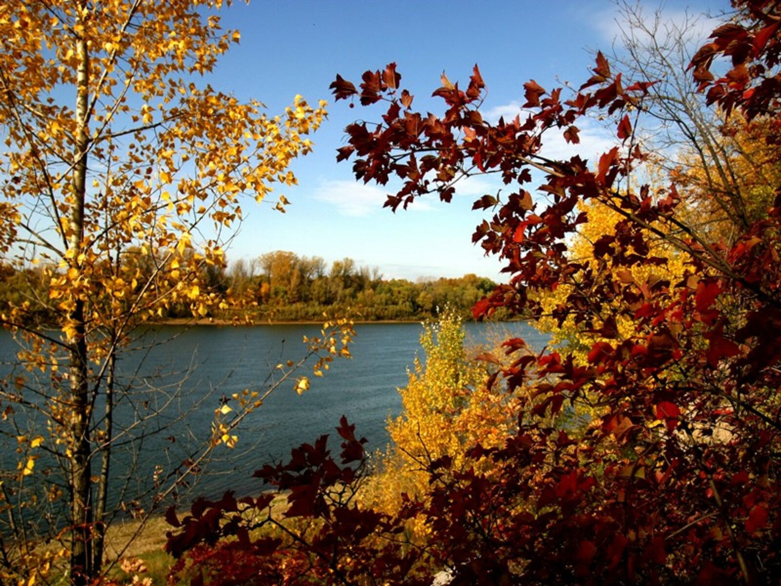 Фото Олега Яровикова.