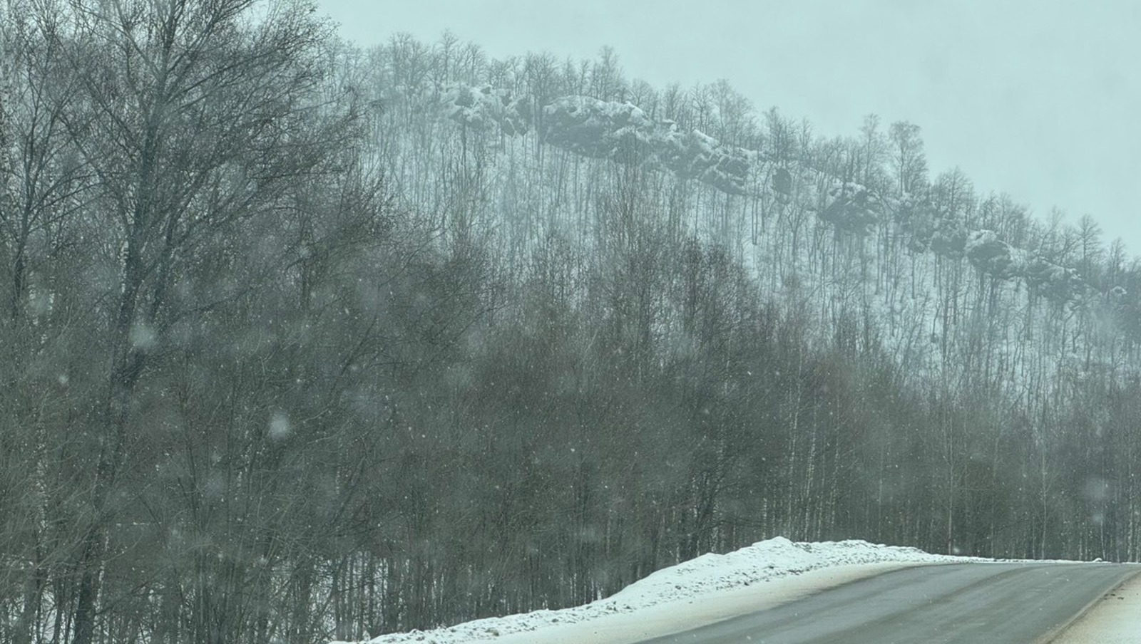 Елены Колоколовой. «Общественная электронная газета».