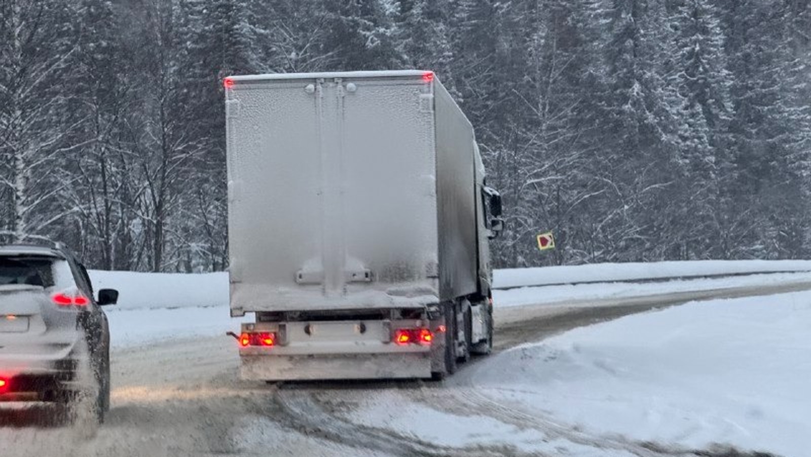 Елены Колоколовой. «Общественная электронная газета».