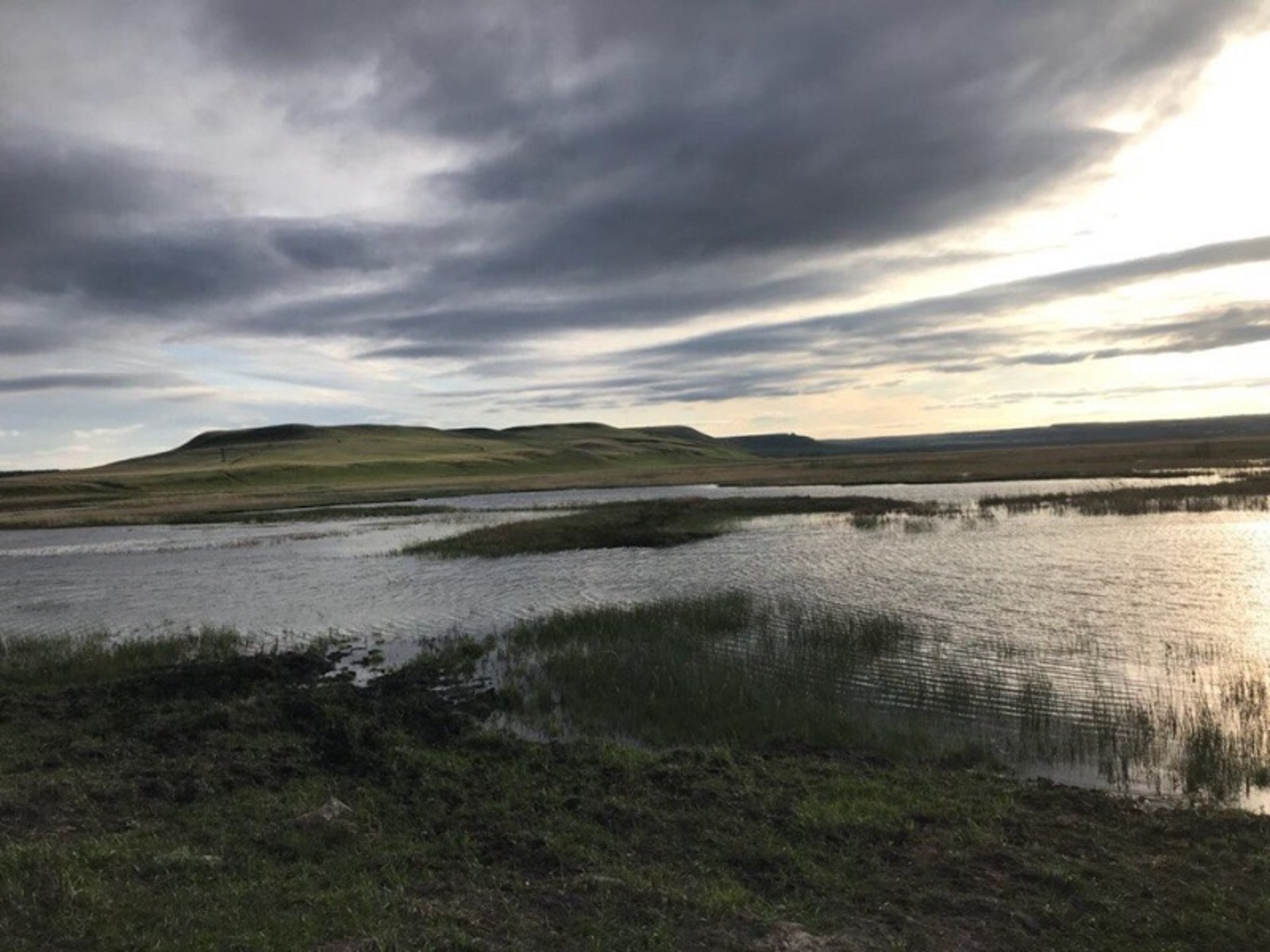 Фото предоставлено российской экологической партией «Зеленые».