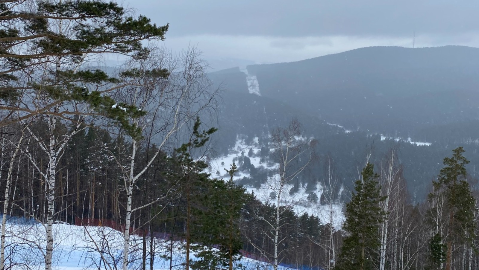 Елены Колоколовой.