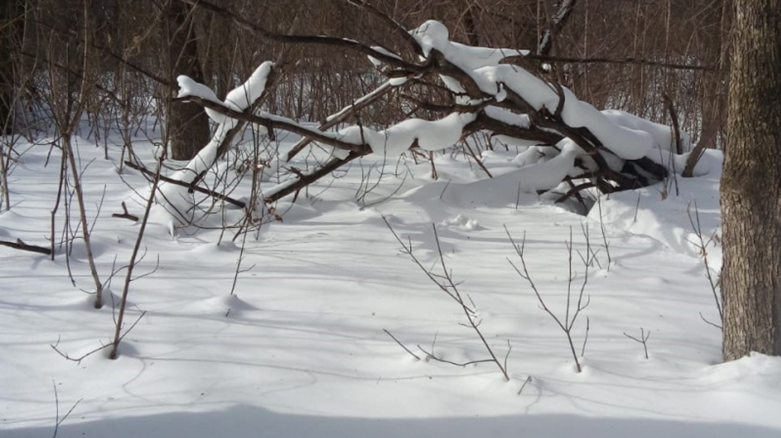 Фото Евгении Сюткиной.