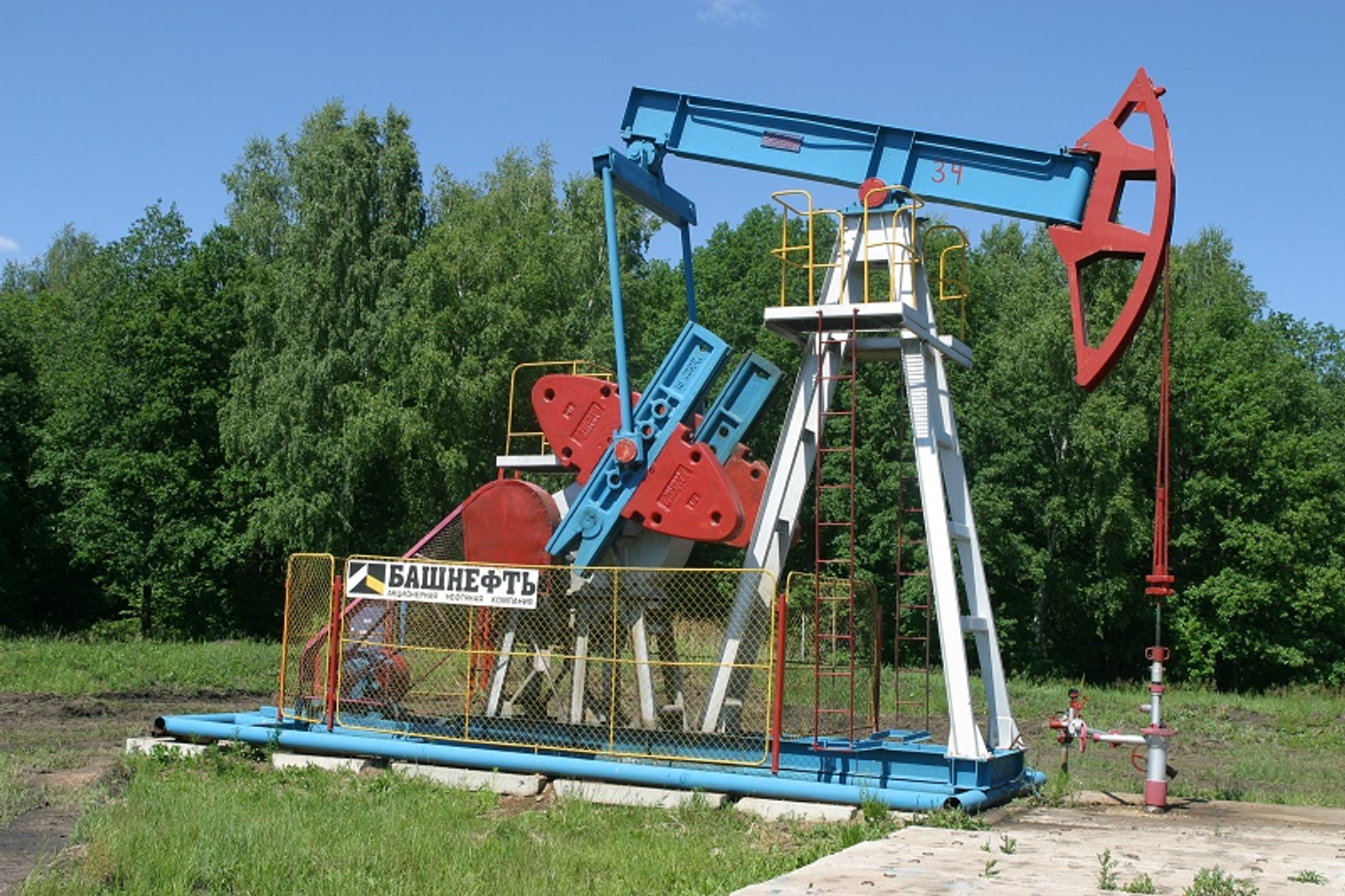 Фото Андрея Старостина.