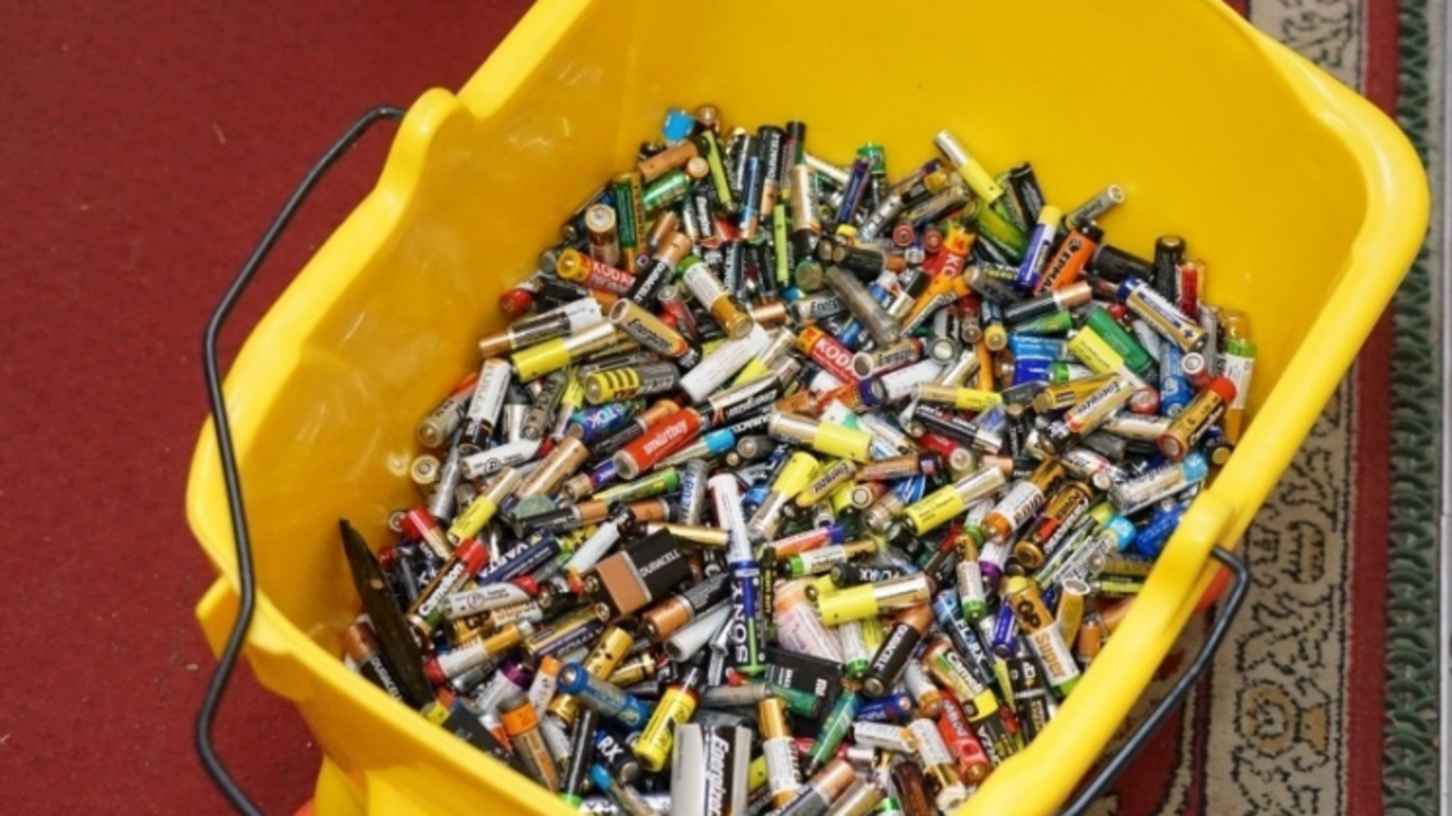 Фото предоставлено организаторами проекта.