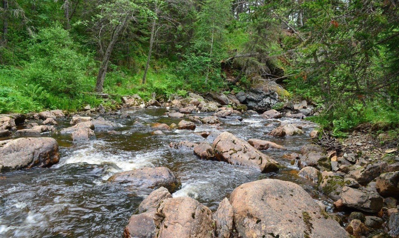 Владимира Шакиева.