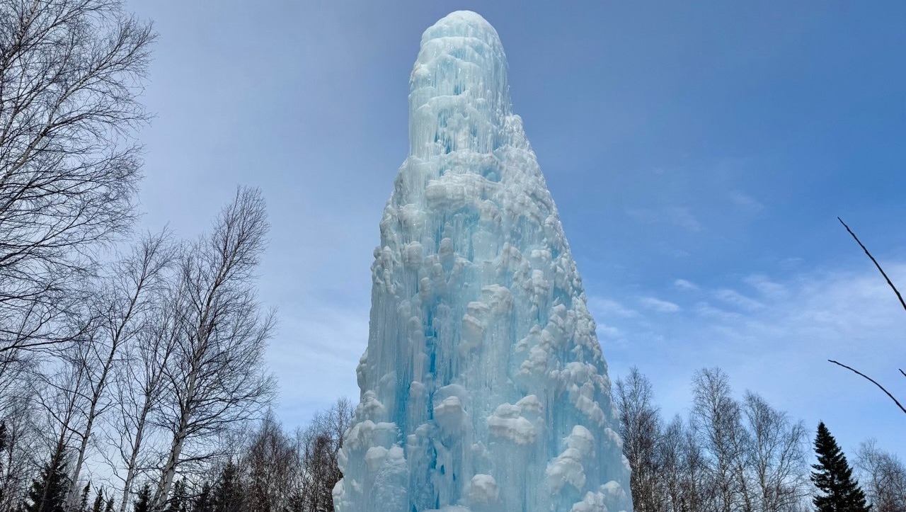 Елены Колоколовой.  «Общественная электронная газета».