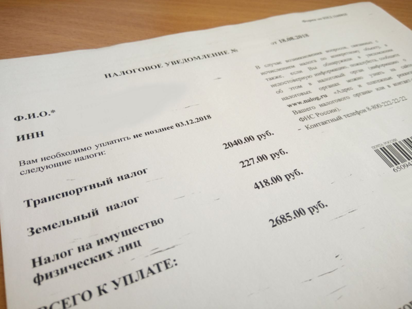 Фото Васили Саитовой.