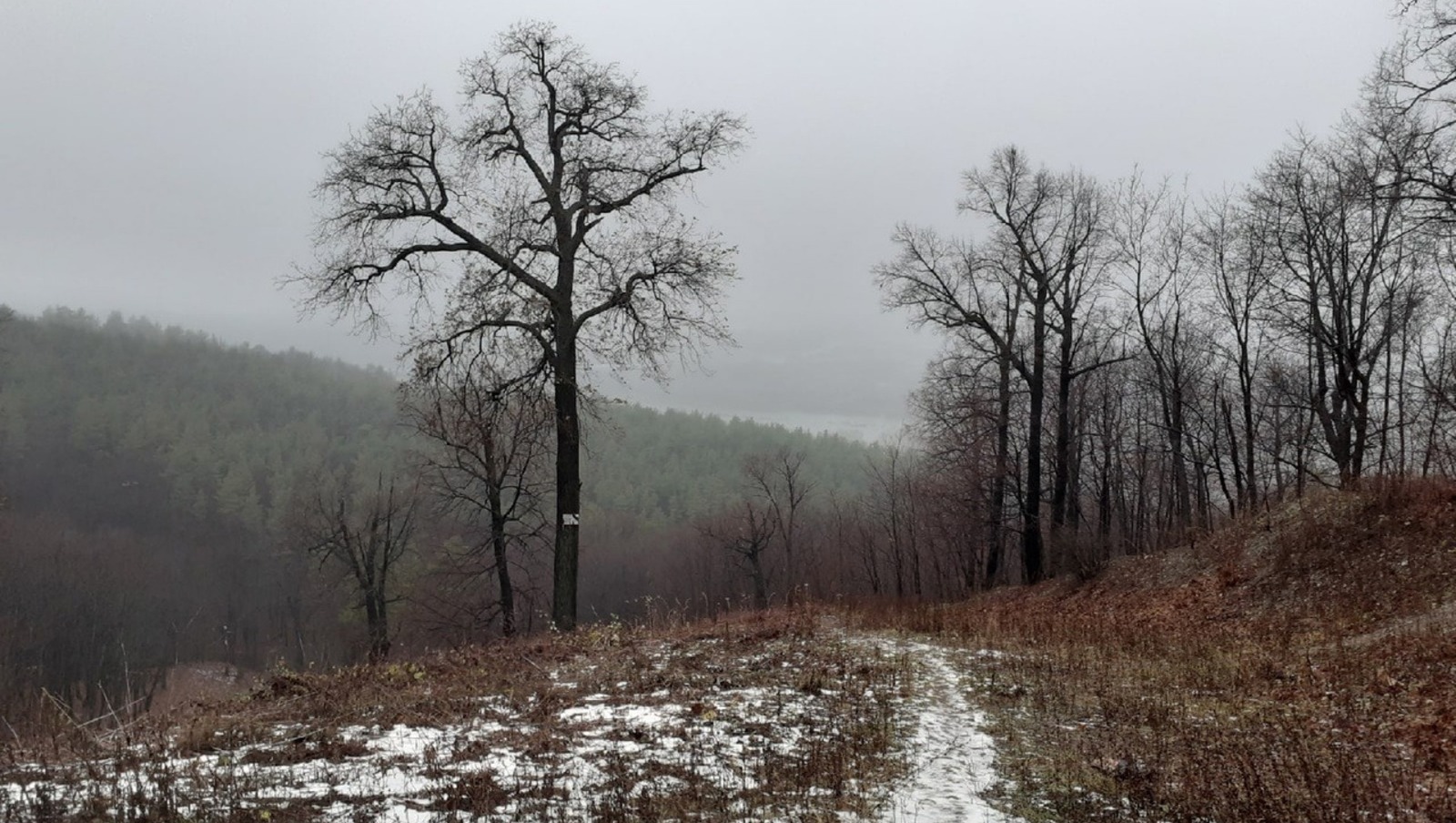 Владимира Шакиева.