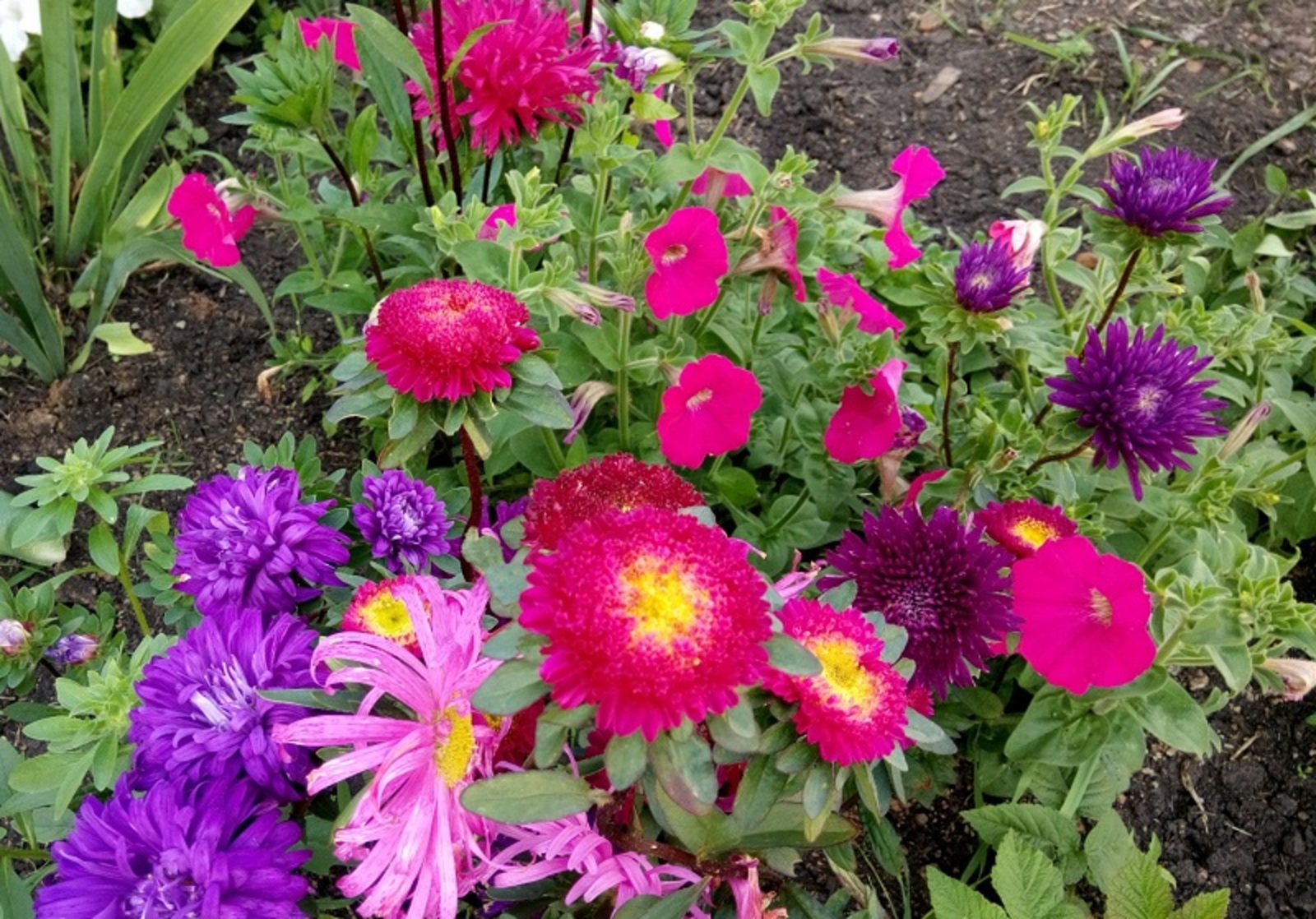 Фото Васили Саитовой.