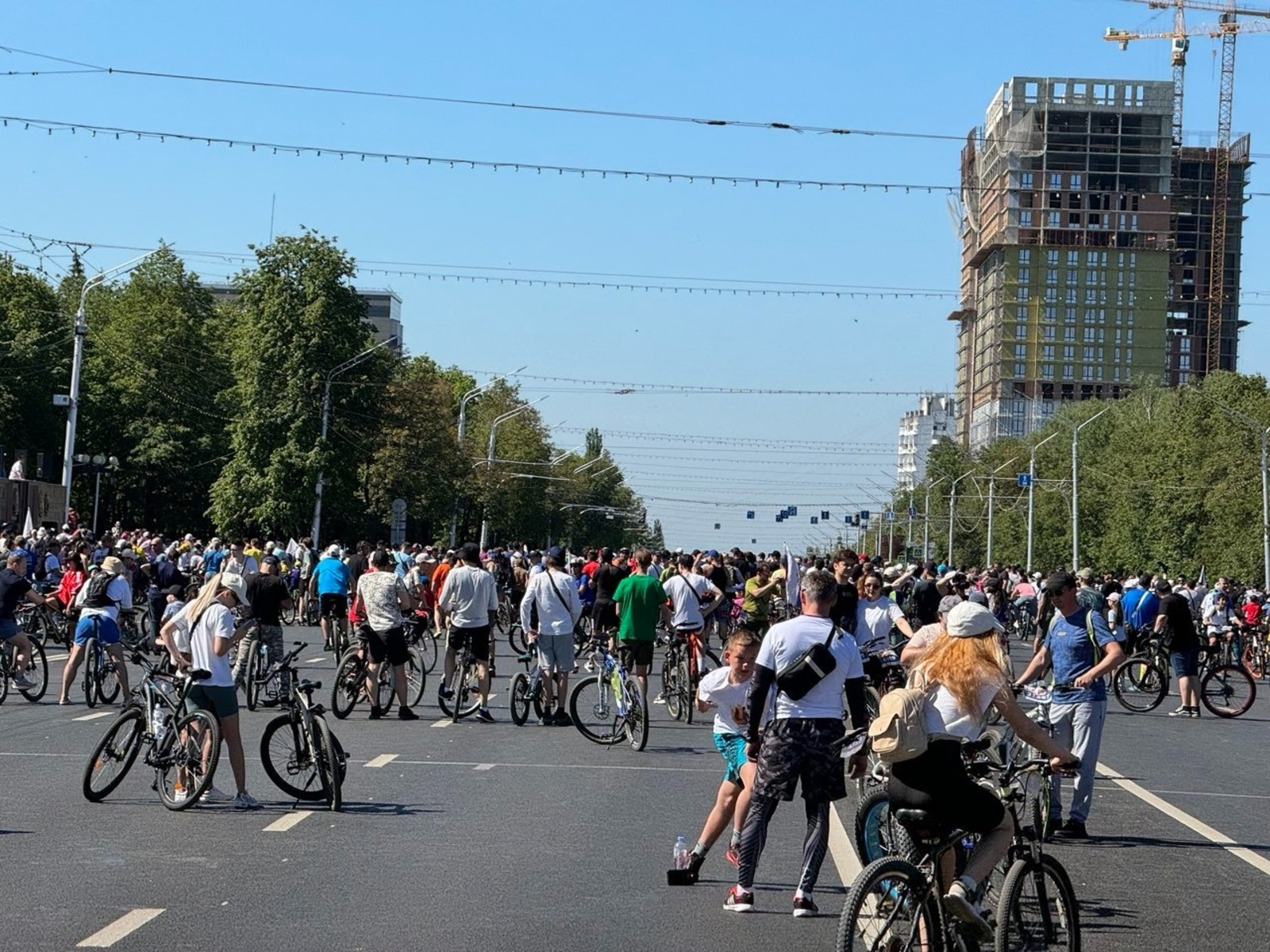 Елены Колоколовой.