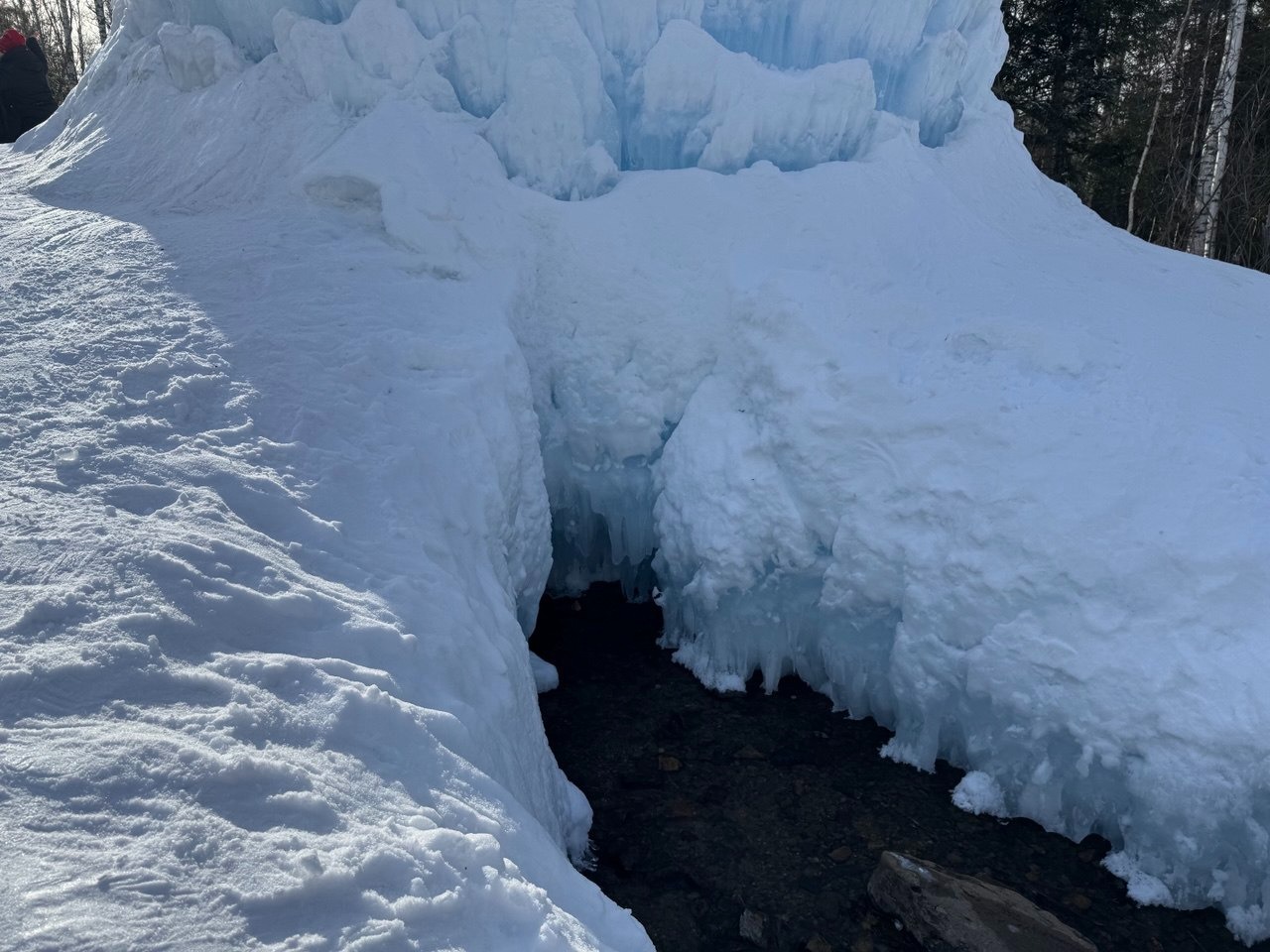 Елены Колоколовой. «Общественная электронная газета».
