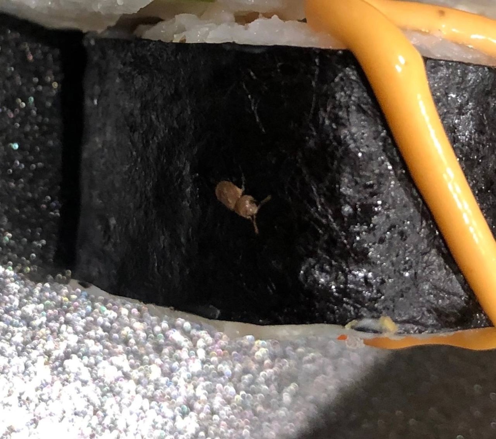 Роспотребнадзор по РБ.