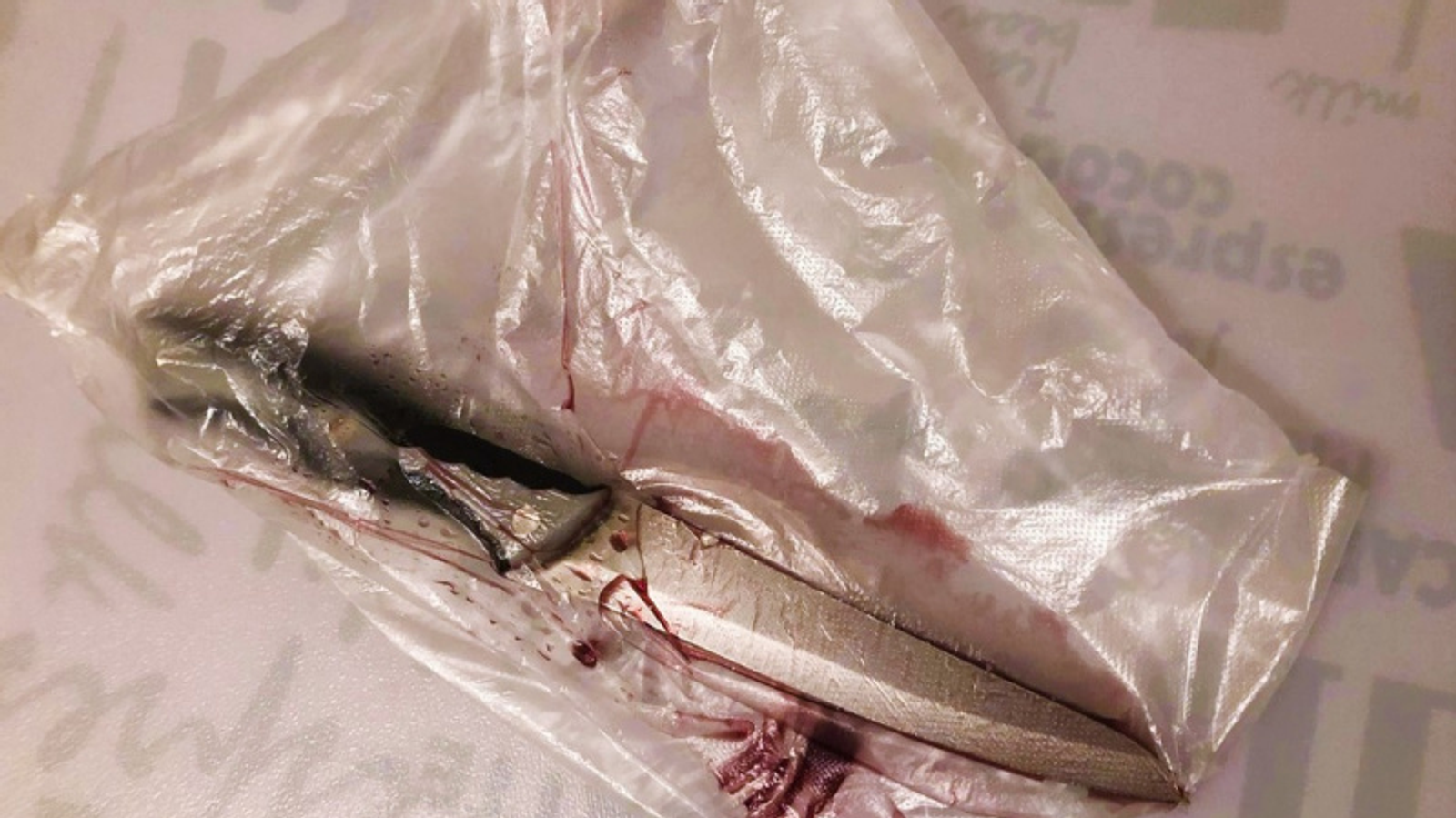 Фото Елены Колоколовой.