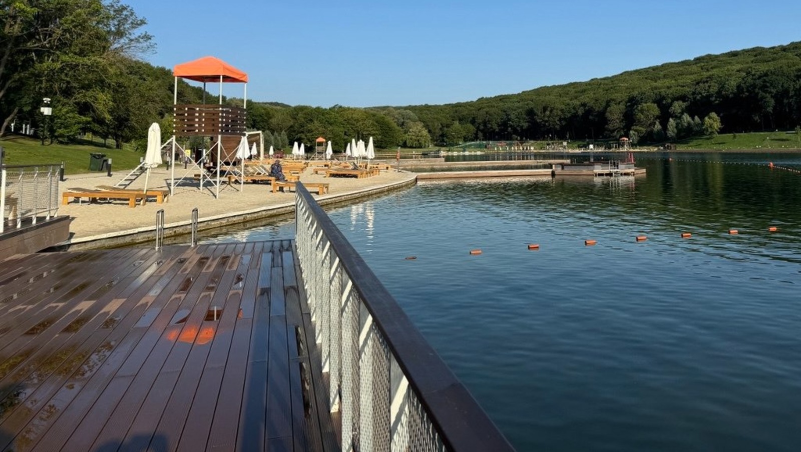 Елены Колоколовой.