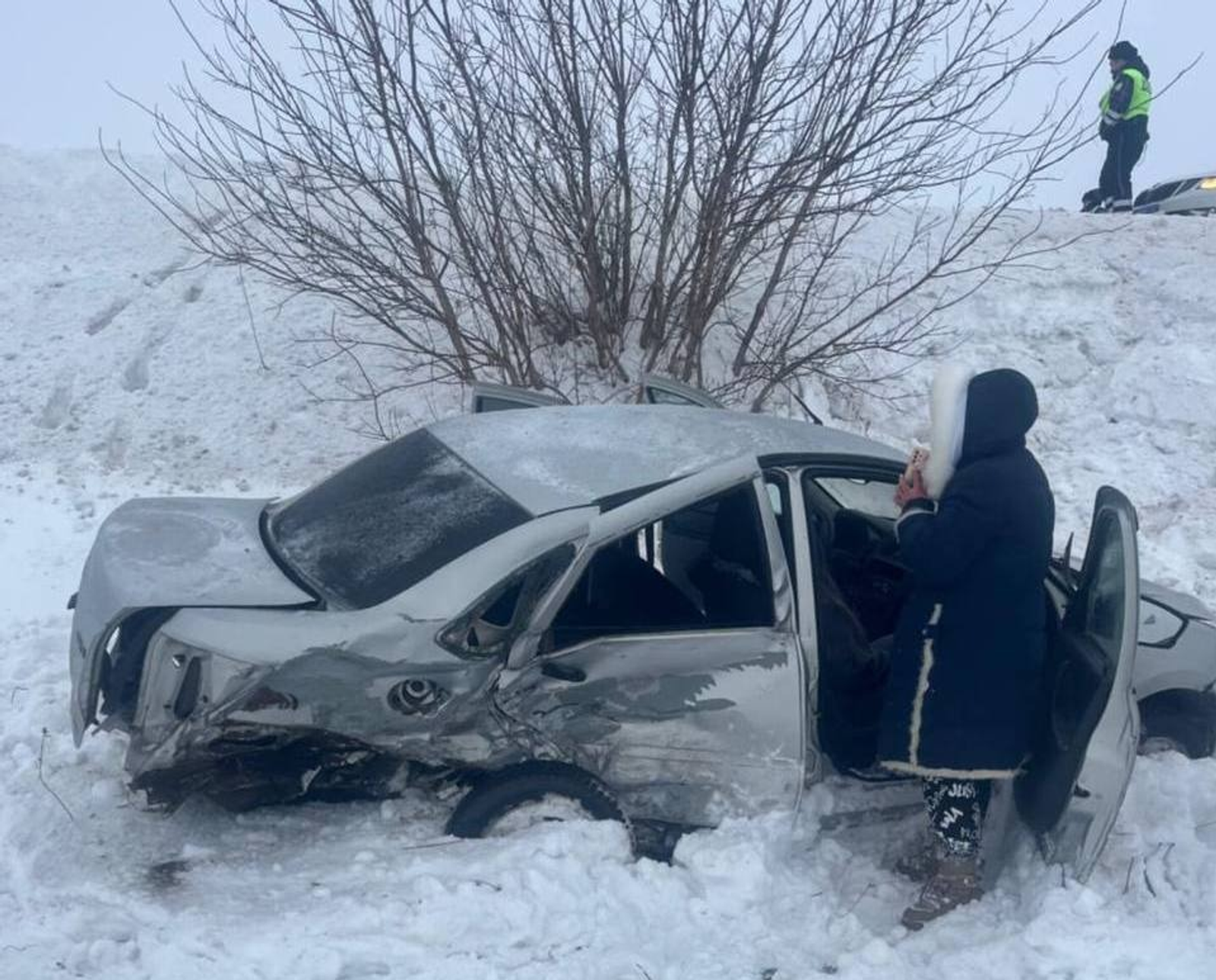 Teiegram, личная страница Владимира Севастьянова.