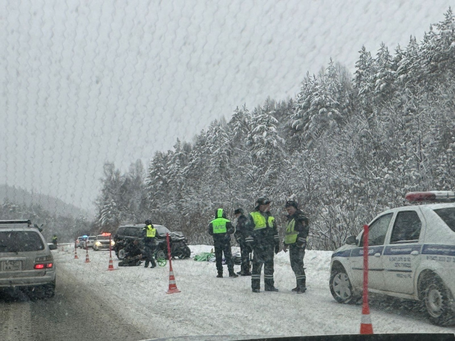 Елены Колоколовой.