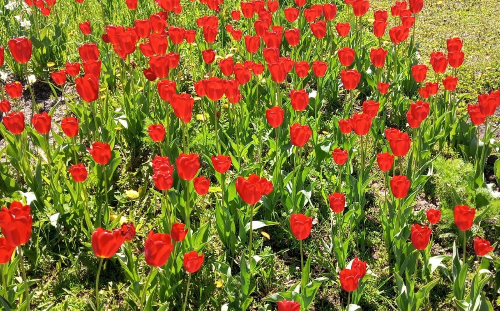 Евгении Сюткиной.