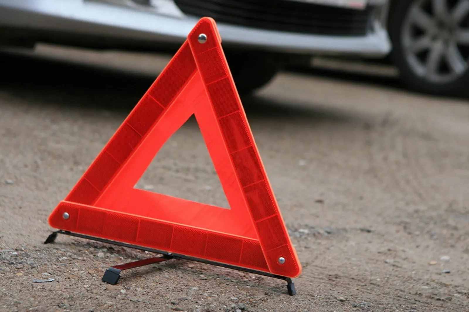 Фото Андрея Старостина.