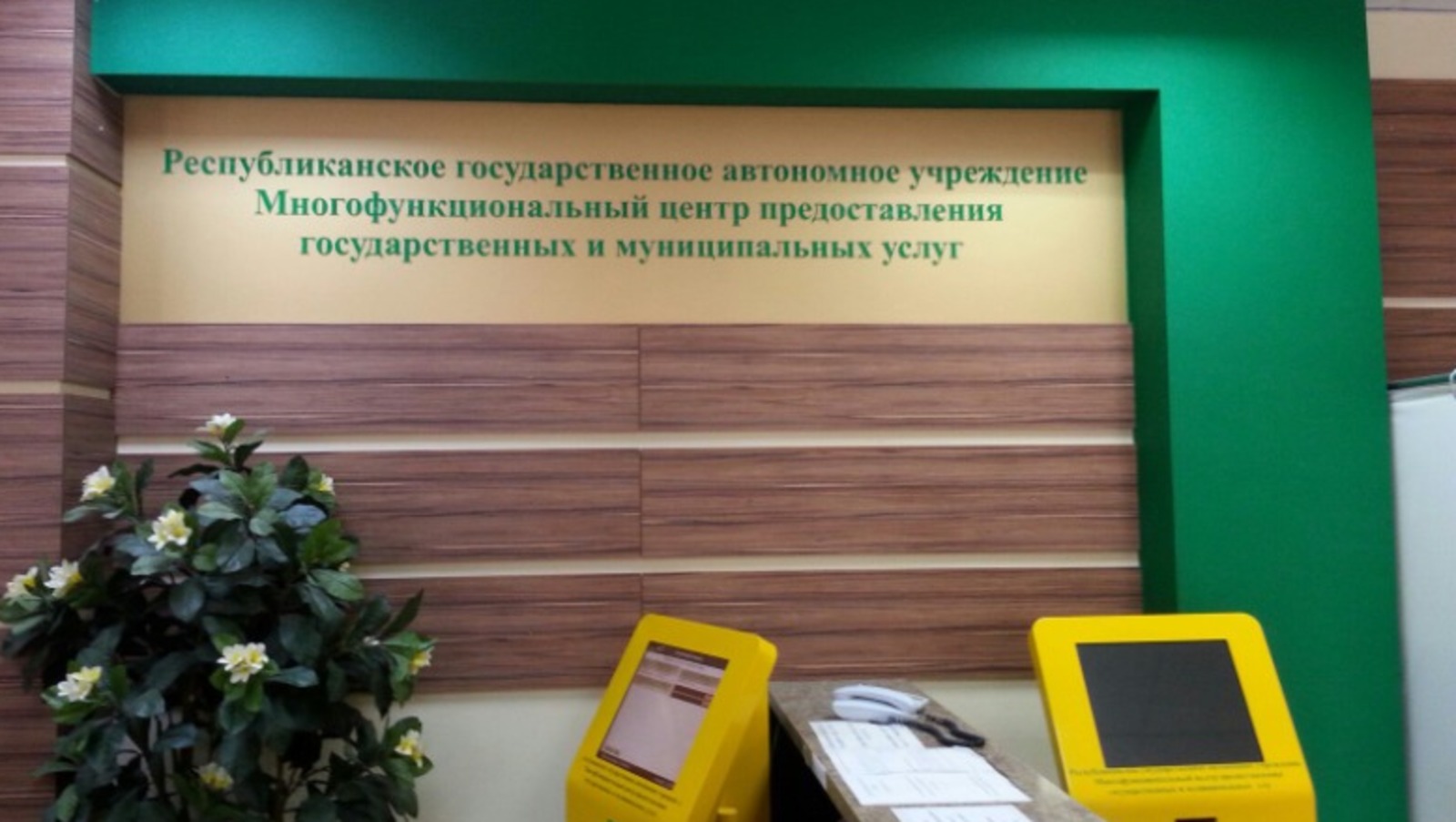 Дарьи Святохиной.