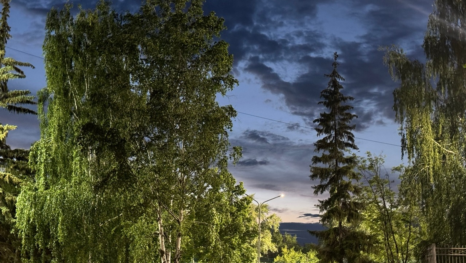 Елены Колоколовой.  «Общественная электронная газета».