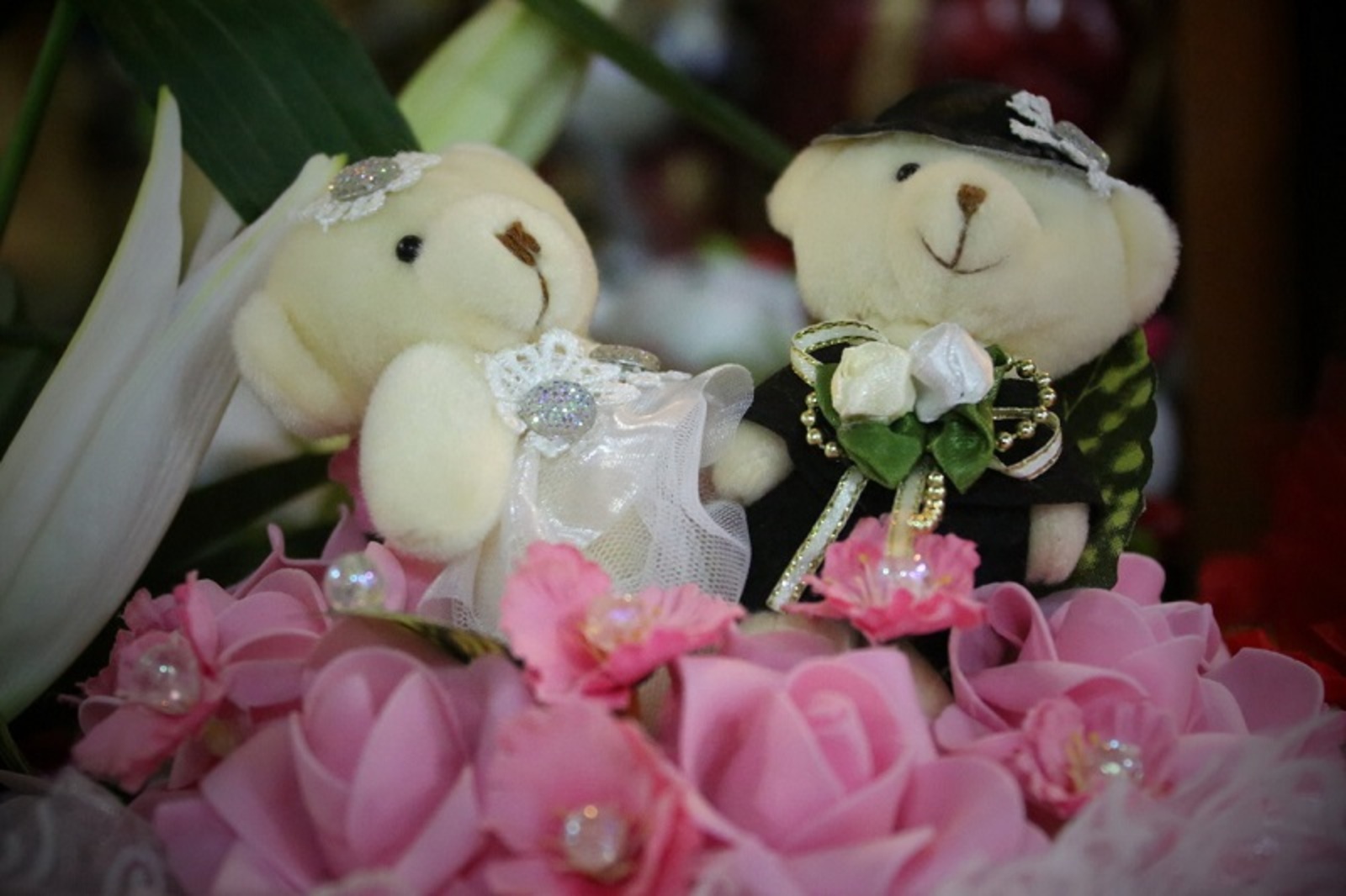 Фото Андрея Старостина.