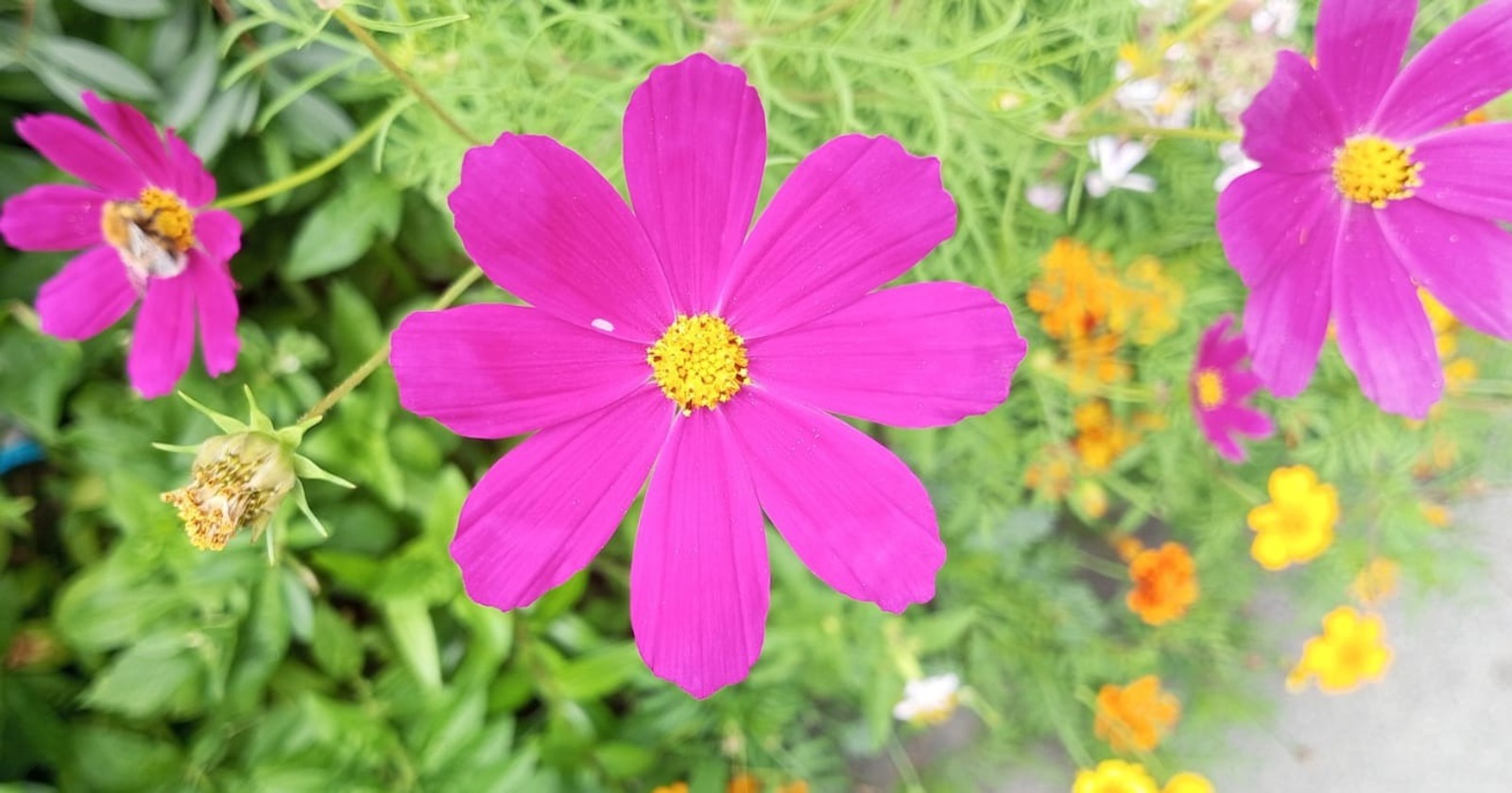 Евгении Сюткиной.