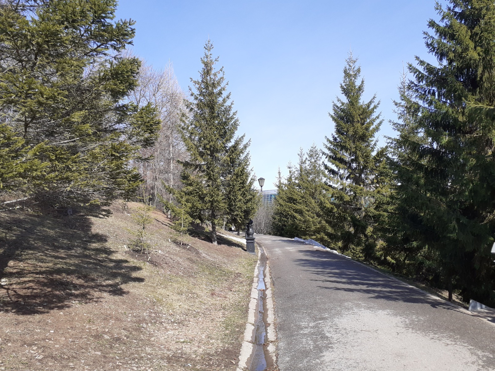 Владимира Шакиева.