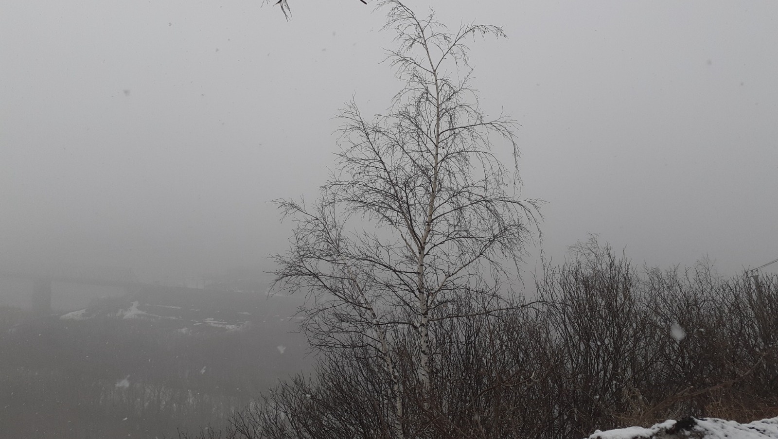 Владимира Шакиева.  «Общественная электронная газета».